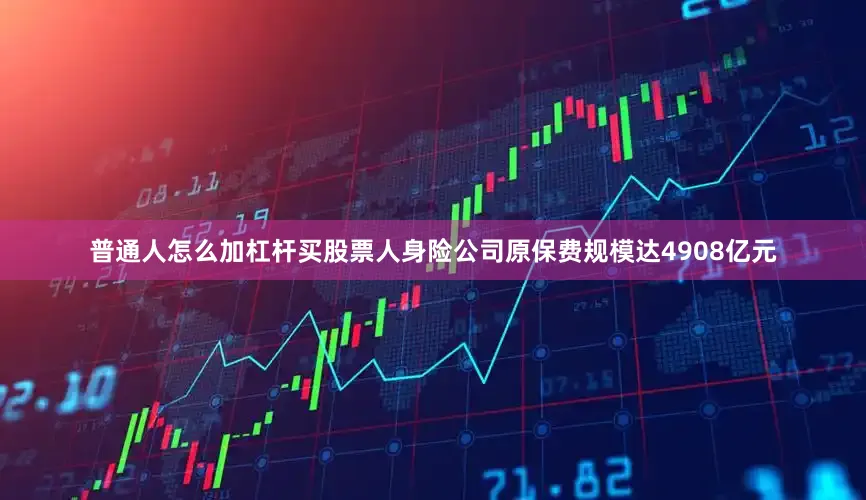 普通人怎么加杠杆买股票人身险公司原保费规模达4908亿元