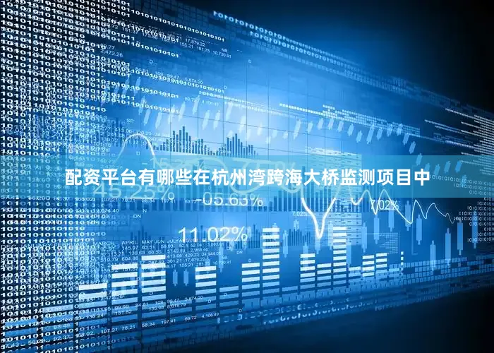 配资平台有哪些在杭州湾跨海大桥监测项目中