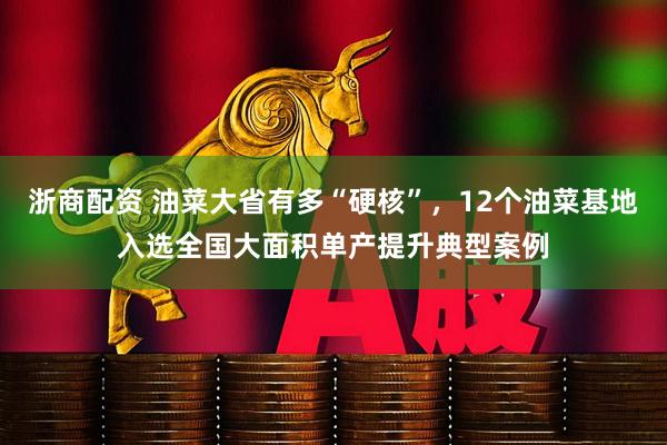 浙商配资 油菜大省有多“硬核”，12个油菜基地入选全国大面积单产提升典型案例