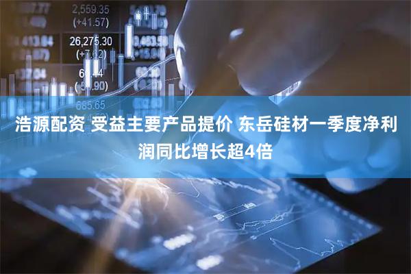 浩源配资 受益主要产品提价 东岳硅材一季度净利润同比增长超4倍